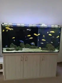 Kompletní akvárium 130x60x60