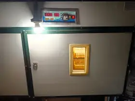 Líheň na 528 slepičích vajec