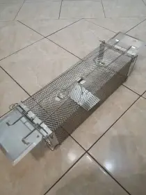 Sklopec, past na potkany, myši atd.