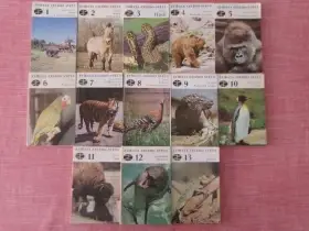 Zvířata celého světa 1-13 - komplet.