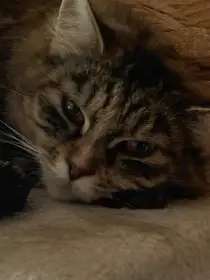 Edmond čeká na domov