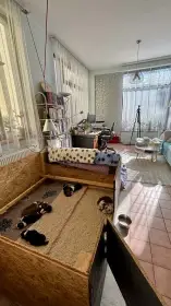 Porodní box vrhu B Australaland