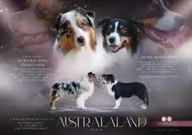 Letáček vrhu B Australaland