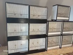 Vystavni boxy na exotické ptactvo