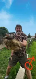 Kajmanka dravá -chovné skupiny