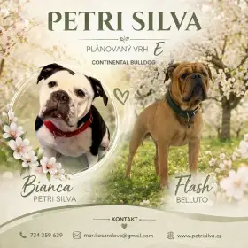 Přijímáme rezervace