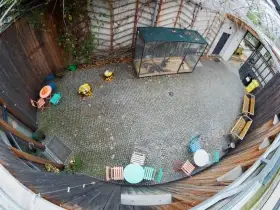 Velká klec – 299 x 104 x 203 cm