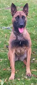 Matka
