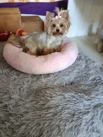 Matka