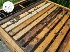 Červnový oddělek