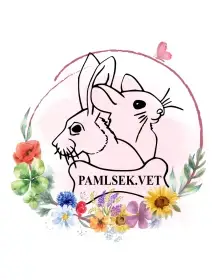 Pamlsky Pamlsek.vet