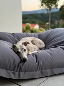 Máma