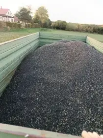 Slunečnice černá, můžu zaslat PPL