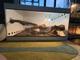Terarium 150x80x80