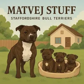 Štěňata s PP