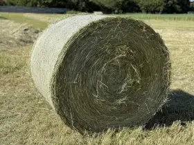 Luční seno s BIO certifikátem