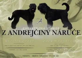 Černý ruský teriér - z Andrejčiny náruče - vrh A