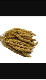 Senegalske proso klasy 15kg