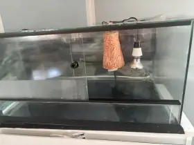 Terarko