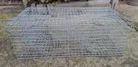 Pasti a sklopce na škodnou