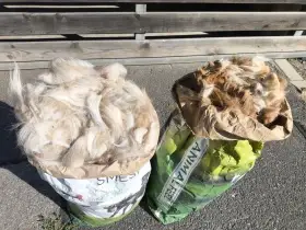 Alpaka vlna