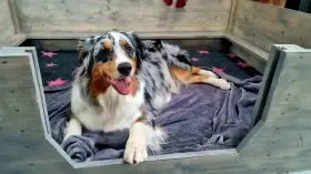 Porodní box pro psy (porodní bedna pro štěňata)