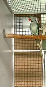 Predam 1.0 aqua na ino 2023