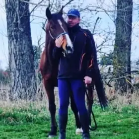 Hledám ženu která má ráda koně a ráda by semnou žila na menším statku