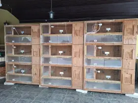 Prodám klece na papoušky