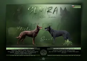 Štěňátka k rezervaci