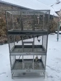 Hlinikove klece pro papousky-rusim chov