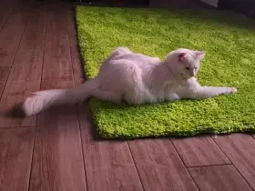 Umí být i zamyšlený.