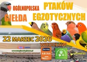 National Exotic Bird Exchange – a new standard in Poland 