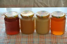 Med z panenských plástů, Pyl Perga - Ambrosie, propolis, včelí mrtvolky - podmor