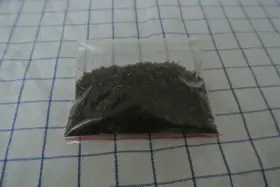 Sušené včelí mrtvolky