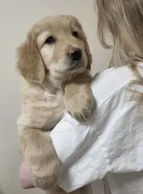 Chopper a Chris hledají láskyplnný domov