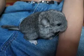 Pár dní po narození.