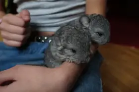 Pár dní po narození.