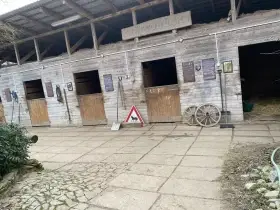 Nabízím ustájení