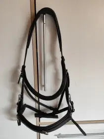 Anatomická uzdečka