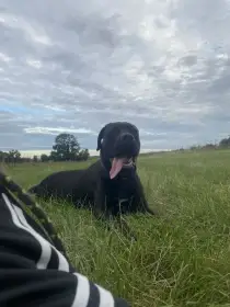 Daruji dobrému člověku