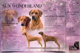 Rhodéský ridgeback