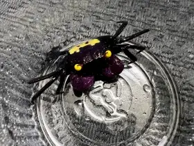 AKCE - Geosesarma dennerle