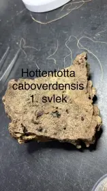 Štíři - aktuální nabídka 21.4.