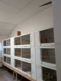 Plastové Bendové klece