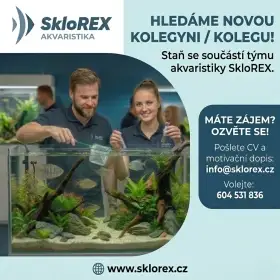 Hledáme prodavačku nebo prodavače do naší akvaristiky