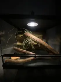 Terarium reptilplanet 60x45x45