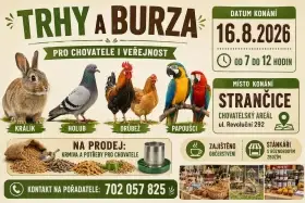 Trhy, burza Strančice 16.8. 2026
