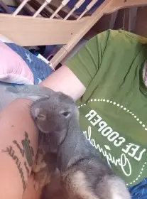 Winnie