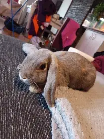 Winnie